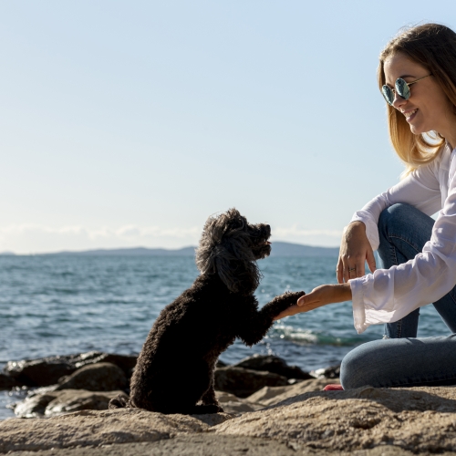 woman-with-dog-seaside